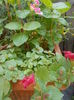 DSCN5628