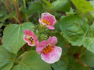 DSCN5629