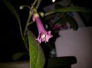 20160704_225803