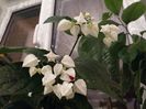 20160704_225430