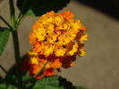 DSC08555