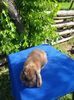20160624_095600