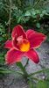 WP_20160704_096