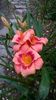 WP_20160704_066