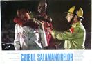 Cuibul Salamandrelor