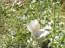 DSCF9121
