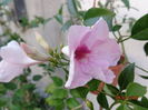 DSC02671