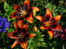 DSC08690