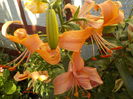 DSCN0555[1]