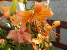 DSCN0557[1]
