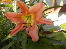 DSCN0556[1]