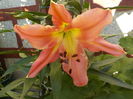 DSCN0558[1]