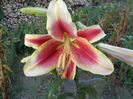 DSCN0586[1]