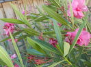 DSCN0564[1]