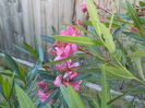 DSCN0565[1]