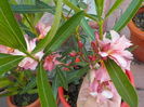 DSCN0569[1]