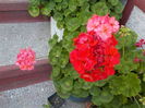 DSCN0571[1]