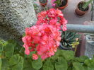 DSCN0575[1]