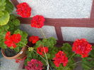 DSCN0570[1]