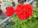 DSCN0574[1]
