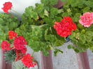 DSCN0576[1]