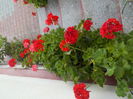 DSCN0578[1]