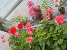 DSCN0579[1]