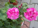 DSCN0581[1]