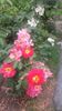 20160703_122314