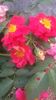 20160703_122349