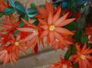 DSC08481