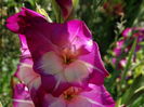 DSC08579