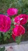 WP_20160706_06_34_17_Pro