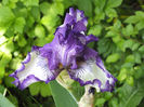 8 mai 2016 iris3