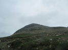 IMG_3950