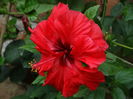 DSC08637