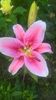WP_20160706_20_32_46_Pro