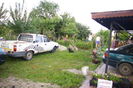 IMGP5645