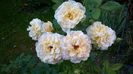 WP_20160706_012