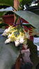 20160706_131605