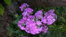 WP_20160705_036