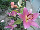 DSC02219