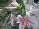 DSC02220