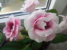 DSCN0997