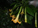 DSCN1667