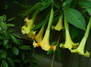 DSCN1685