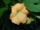 DSCN1701