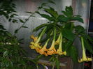 DSCN1704
