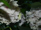 DSCN1728
