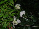DSCN1894